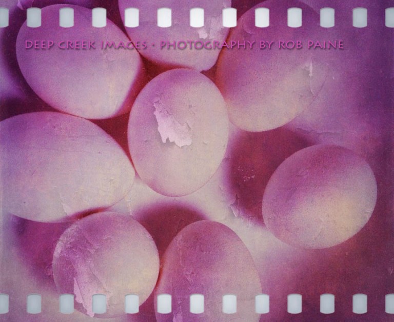   Photo by Rob Paine/Deep Creek Images/Copyright 2015