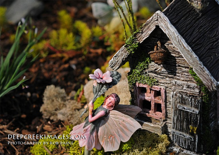 Photo by Rob Paine/Deep Creek Images/Copyright 2015