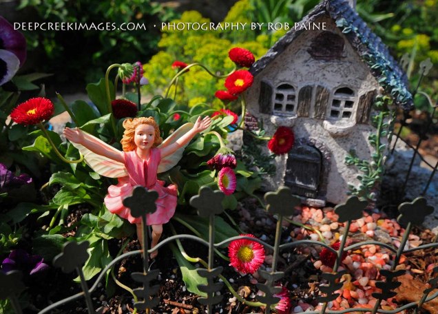 Rob Paine Fairyland at Meadowlark