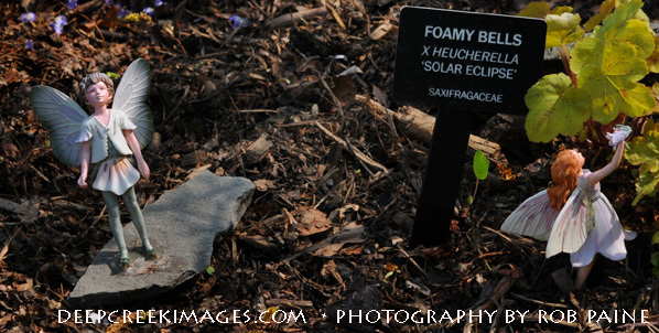 rob paine fairyland at Meadowlark2