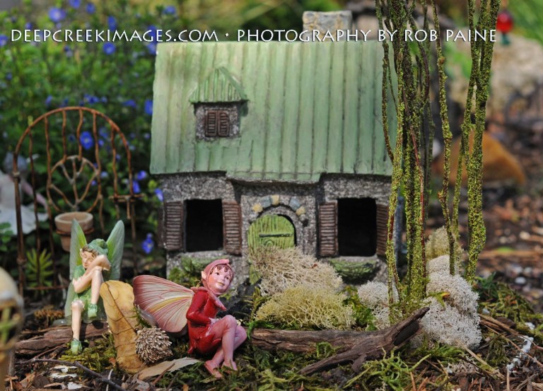 rob paine meadowlark fairy garden
