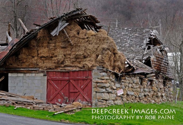 Photo by Rob Paine/Deep Creek Images/Copyright 2015