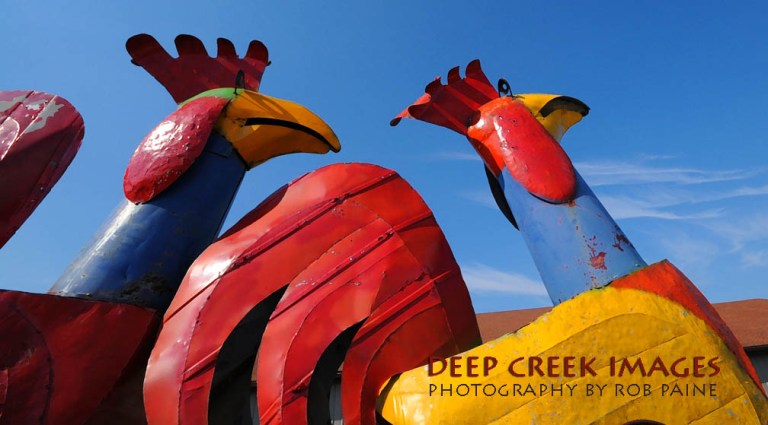 Photo by Rob Paine/Copyright 2015