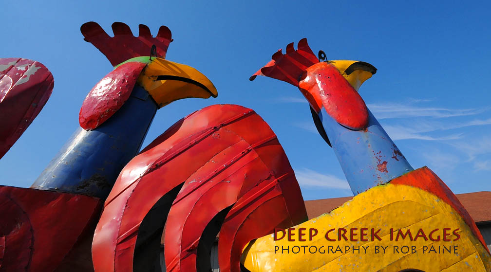 Photo by Rob Paine/Copyright 2015