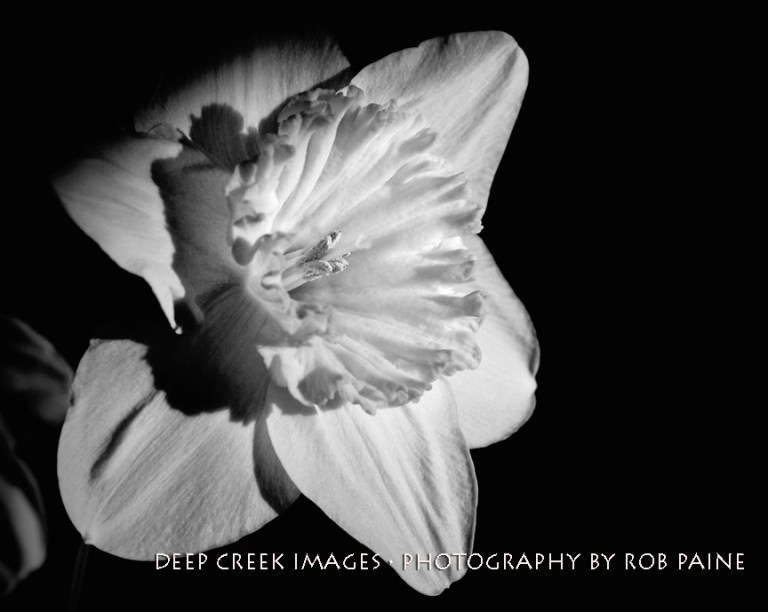 Photo By Rob Paine/Deep Creek Images/Copyright 2015