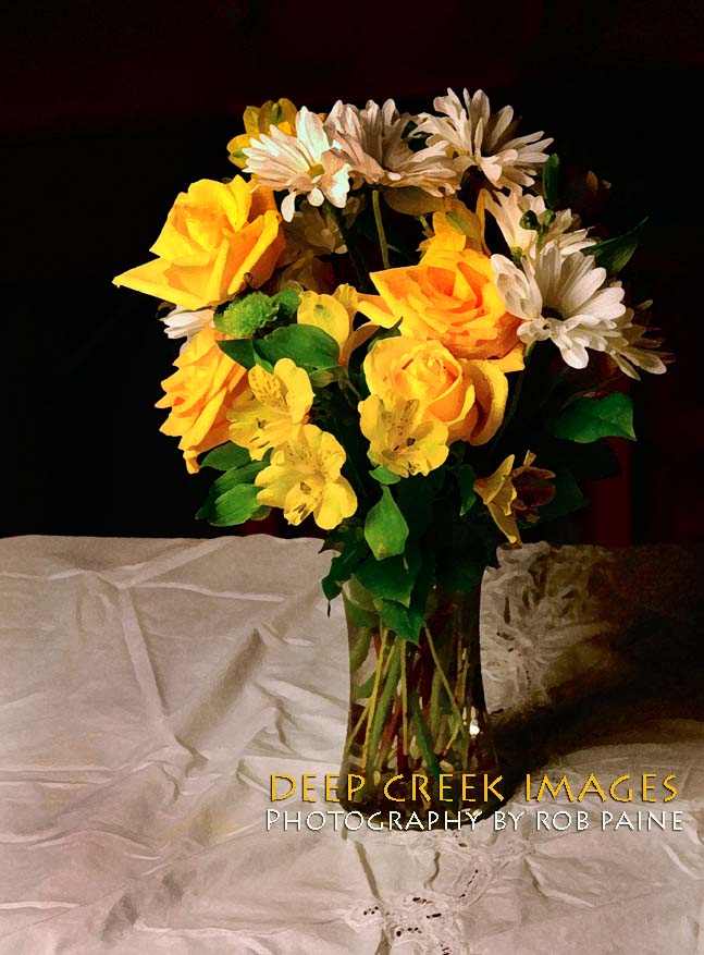 Photo by Rob Paine/Deep Creek Images/Copyright 2015