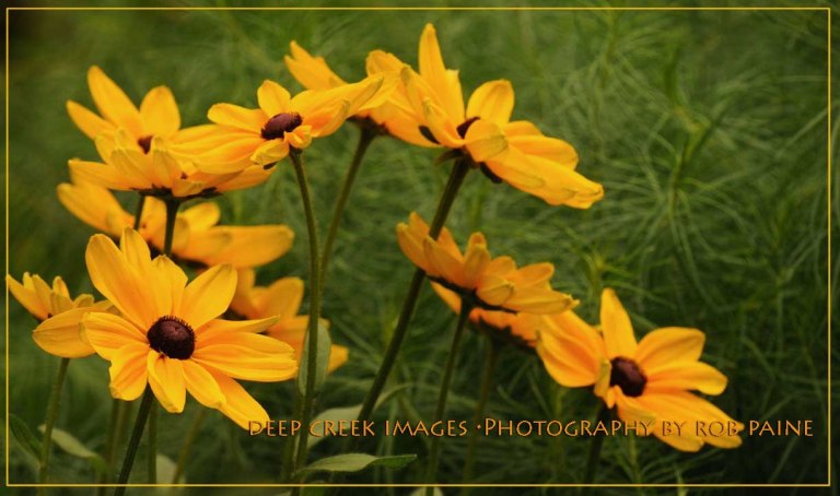 Photo by Rob Paine/Deep Creek Images/Copyright 2015