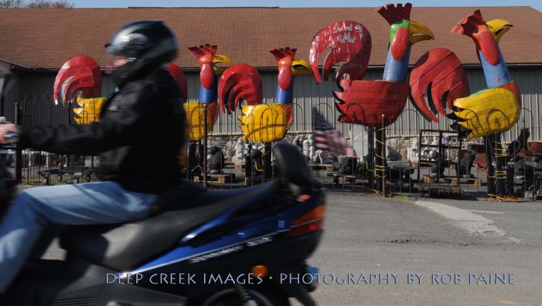 Photo By Rob Paine/Deep Creek Images/Copyright 2015