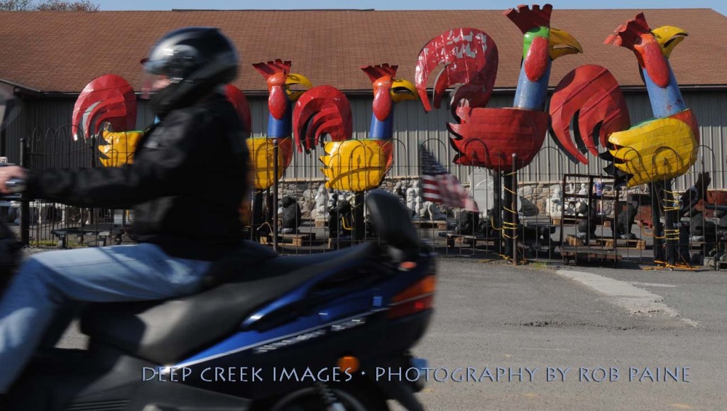 Photo By Rob Paine/Deep Creek Images/Copyright 2015