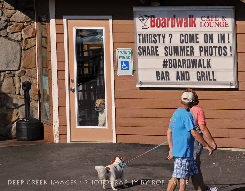 7- Photo By Rob Paine/Deep Creek Images/Copyright 2015