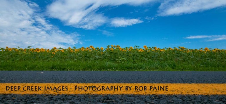 Photo by Rob Paine/Deep Creek Images/Copyright 2015