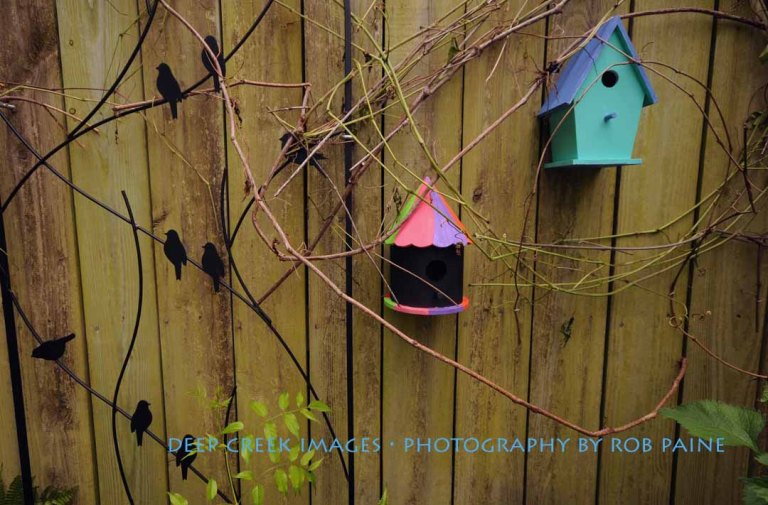 Photo by Rob Paine/Deep Creek Images/Copyright 2015