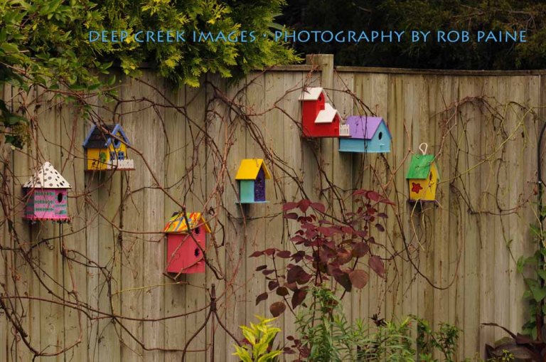 Photo by Rob Paine/Deep Creek Images/Copyright 2015