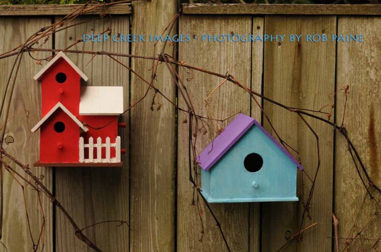 Photo by Rob Paine/Deep Creek Images/Copyright 2015