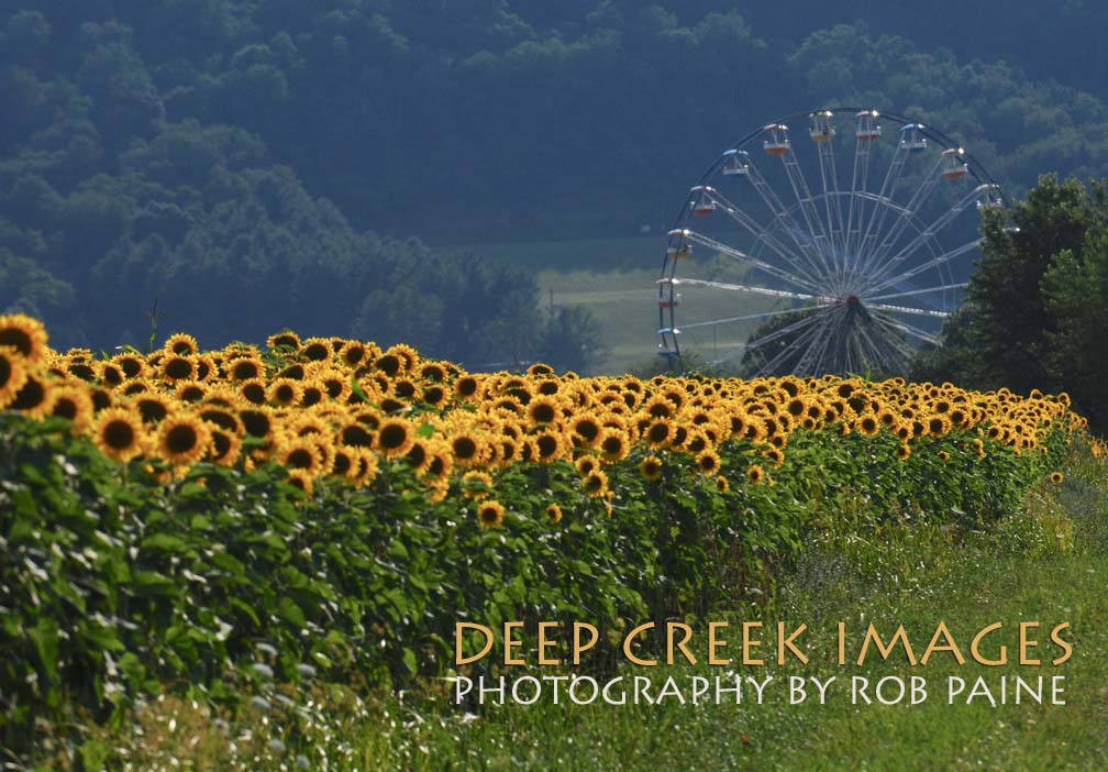  Photo by Rob Paine/Deep Creek Images/Copyright 2015