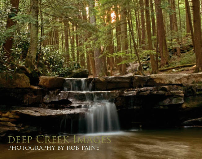  Photo by Rob Paine/Deep Creek Images/Copyright 2015 