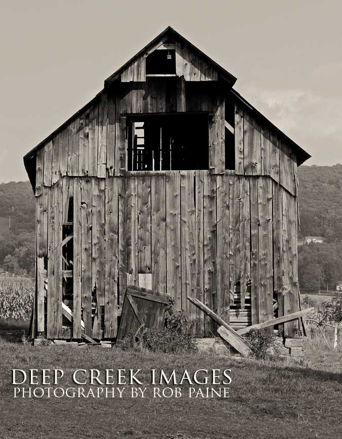  Photo by Rob Paine/Deep Creek Images/Copyright 2015