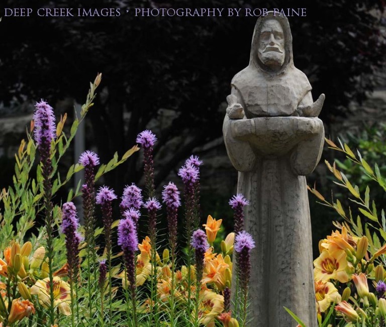 Photo by Rob Paine/Deep Creek Images/Copyright 2015