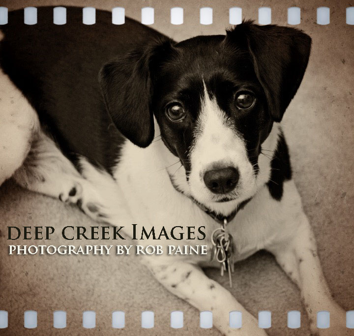   Photo by Rob Paine/Deep Creek Images/Copyright 2015