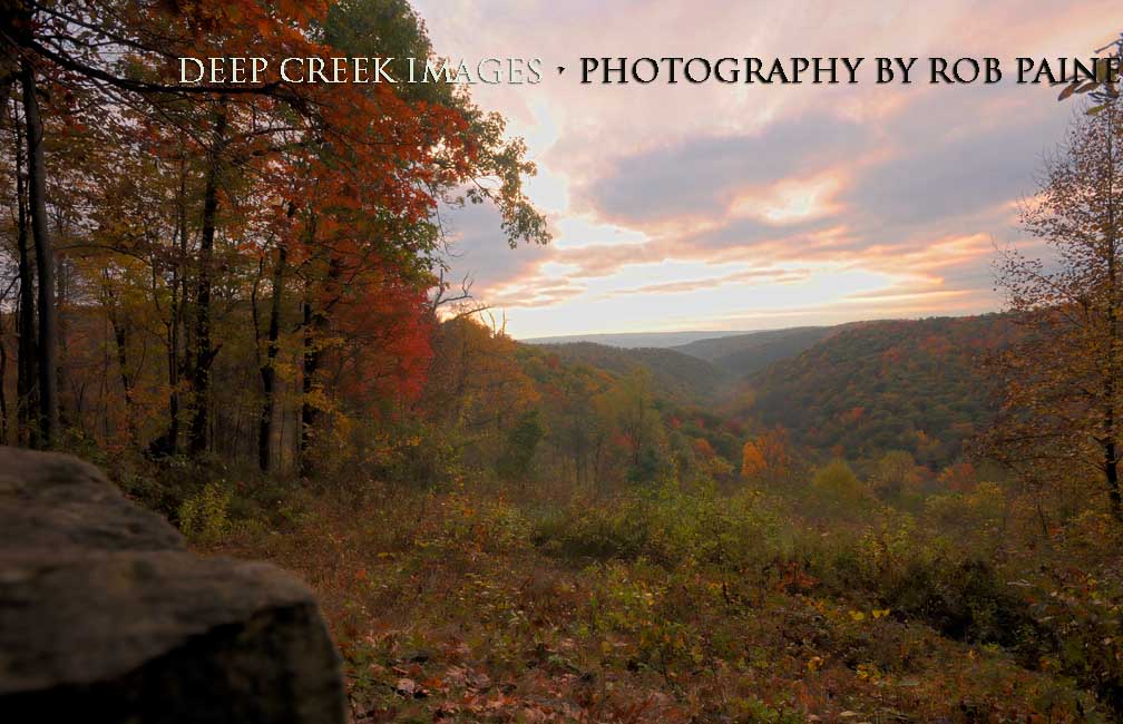   Photo by Rob Paine/Deep Creek Images/Copyright 2015