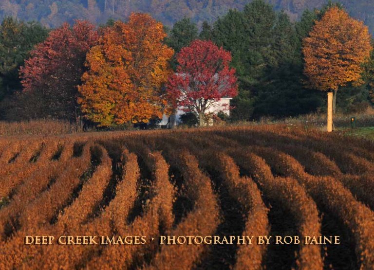  Photo by Rob Paine/Deep Creek Images/Copyright 2015