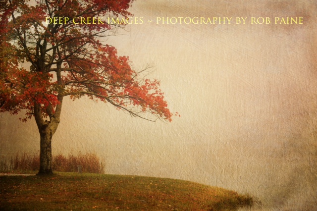  Photo by Rob Paine/Deep Creek Images/Copyright 2015