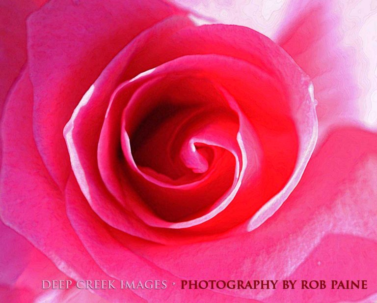 Photo by Rob Paine/Deep Creek Images/Copyright 2015