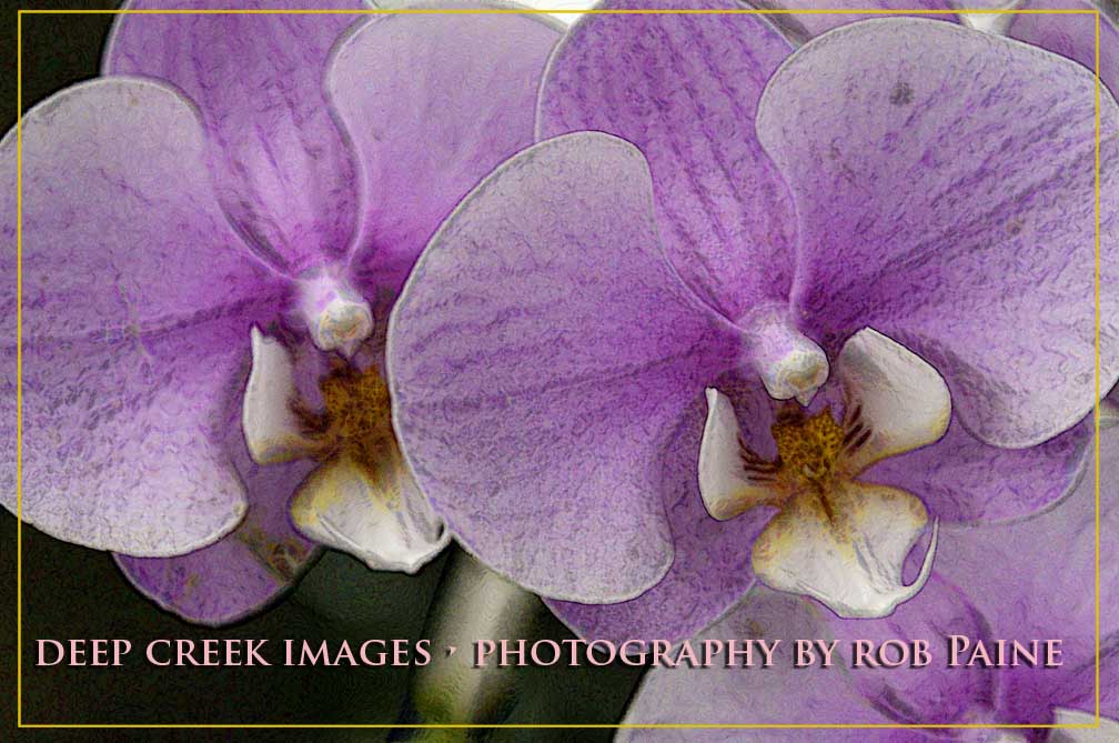 Photo by Rob Paine/Deep Creek Images/Copyright 2015