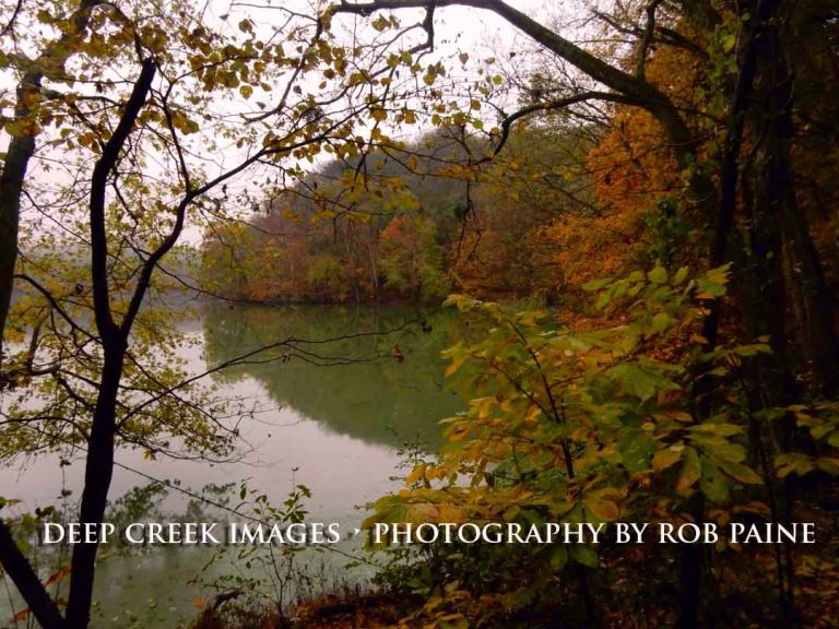 Photo by Rob Paine/Deep Creek Images/Copyright 2015