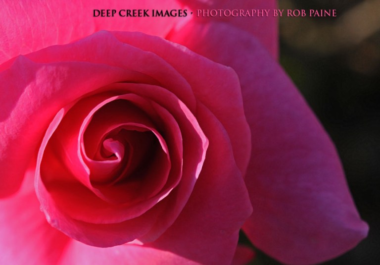   Photo by Rob Paine/Deep Creek Images/Copyright 2015