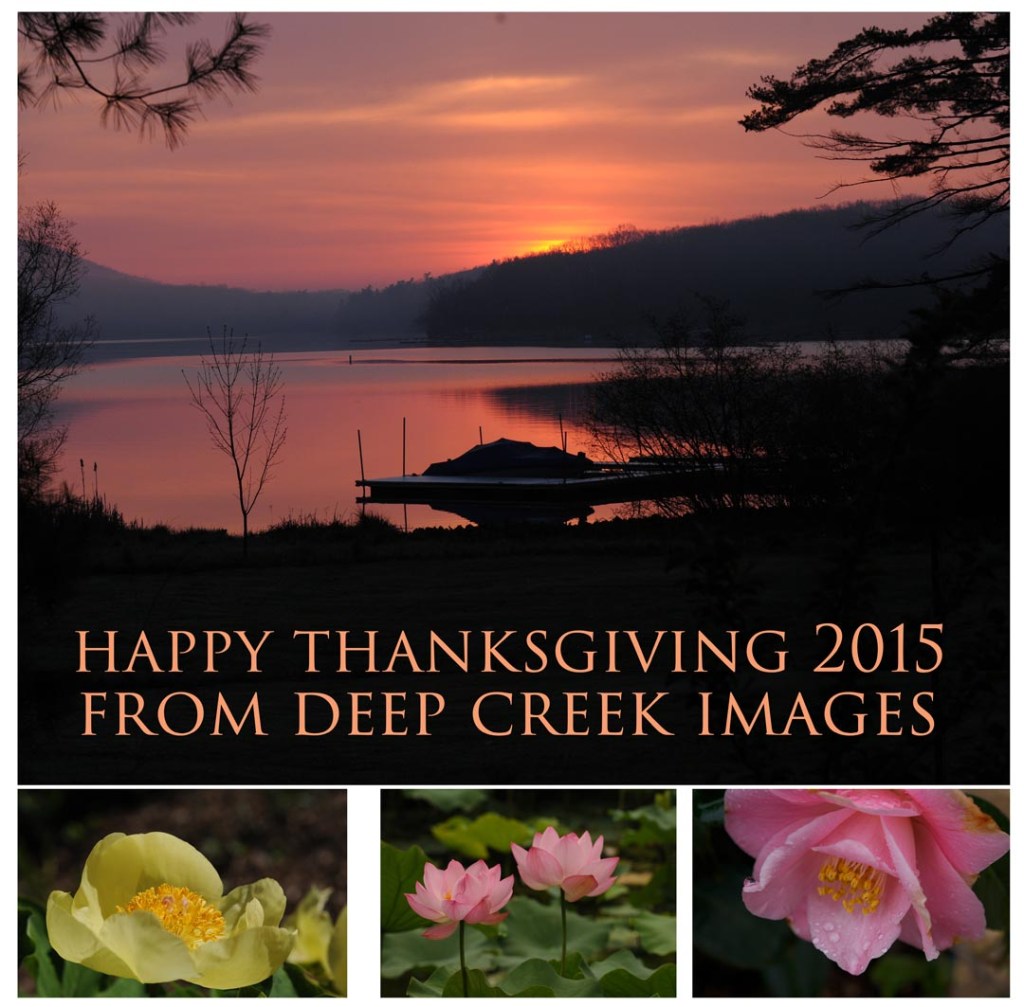 Photo by Rob Paine/Deep Creek Images/Copyright 2015