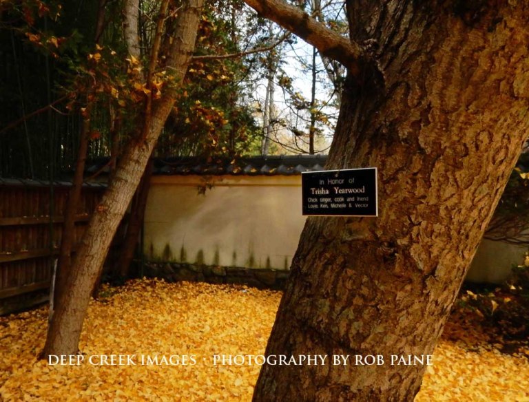   Photo by Rob Paine/Deep Creek Images/Copyright 2015