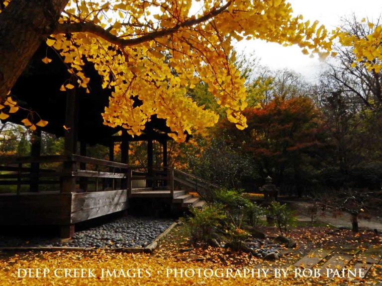 Photo by Rob Paine/Deep Creek Images/Copyright 2015