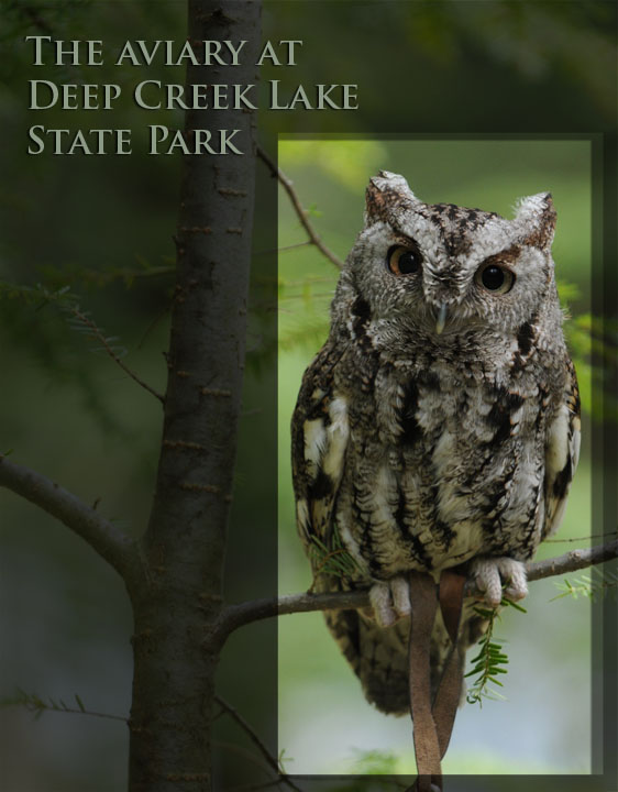  Photo by Rob Paine/Deep Creek Images/Copyright 2015