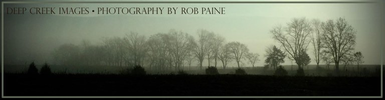 Photo by Rob Paine/Deep Creek Images/Copyright 2015