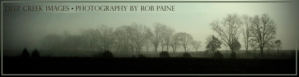 Photo by Rob Paine/Deep Creek Images/Copyright 2015