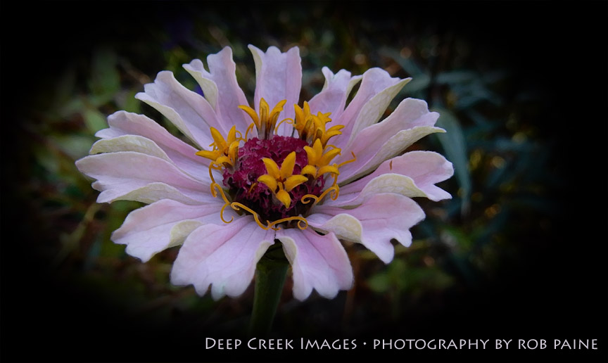 Photo by Rob Paine/Deep Creek Images/Copyright 2015