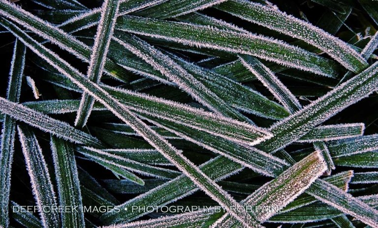  Photo by Rob Paine/Deep Creek Images/Copyright 2015