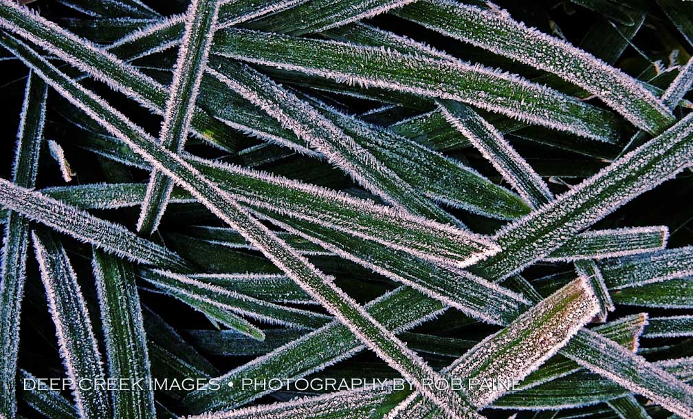  Photo by Rob Paine/Deep Creek Images/Copyright 2015