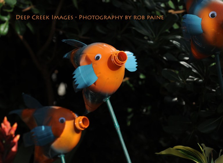 Photo by Rob Paine/Deep Creek Images/Copyright 2015