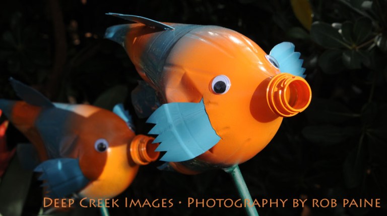 Photo by Rob Paine/Deep Creek Images/Copyright 2015