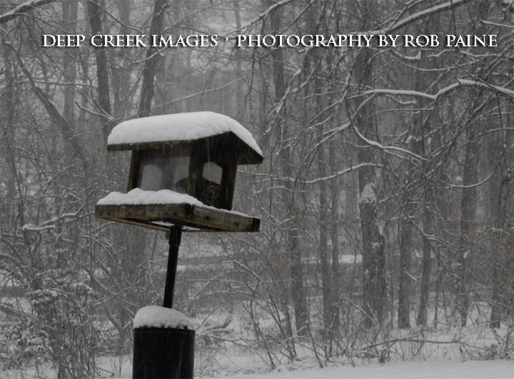  Photo by Rob Paine/Deep Creek Images/Copyright 2016