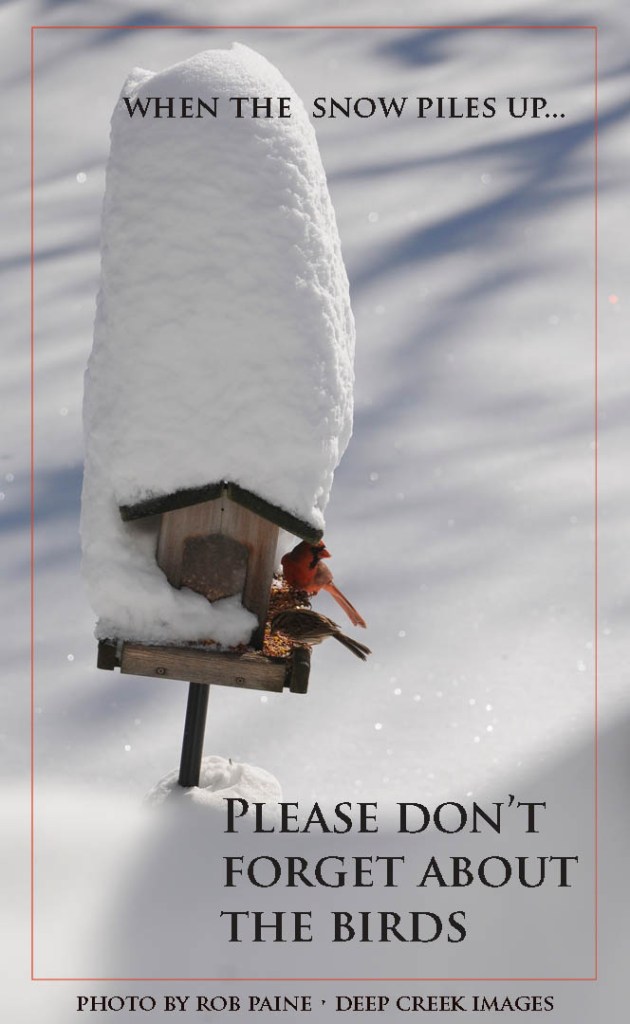  Photo by Rob Paine/Deep Creek Images/Copyright 2016