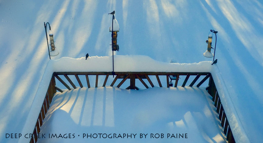  Photo by Rob Paine/Deep Creek Images/Copyright 2016