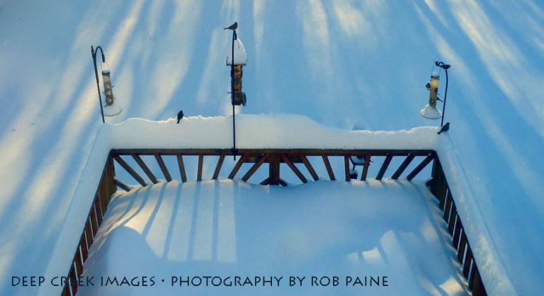 Photo by Rob Paine/Deep Creek Images/Copyright 2016