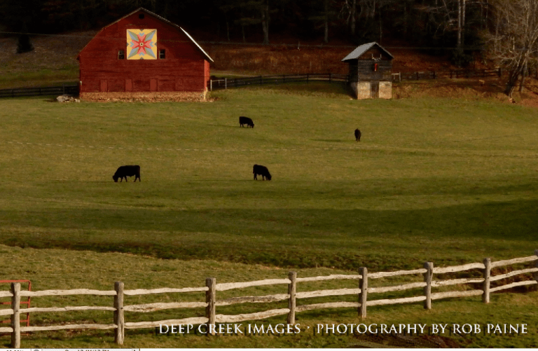  Photo by Rob Paine/Deep Creek Images/Copyright 2016