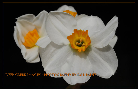  Photo by Rob Paine/Deep Creek Images/Copyright 2016