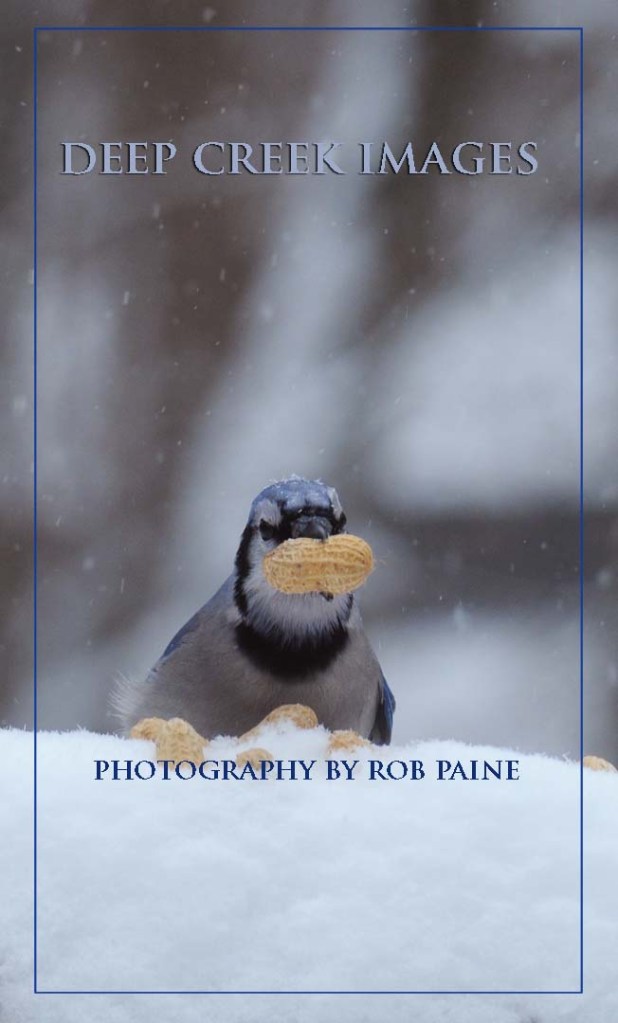   Photo by Rob Paine/Deep Creek Images/Copyright 2016