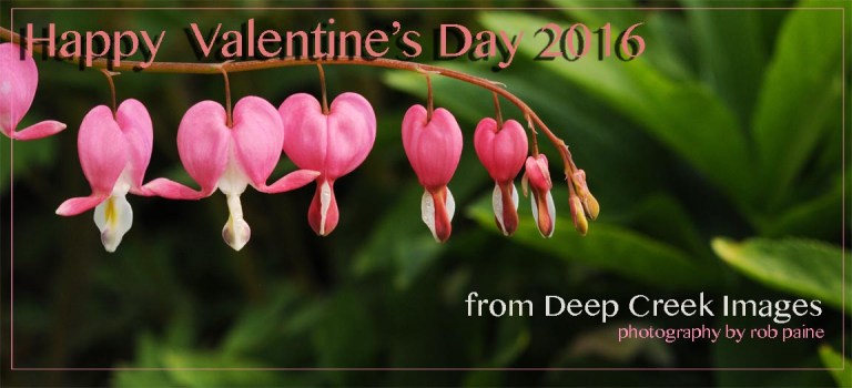   Photo by Rob Paine/Deep Creek Images/Copyright 2016