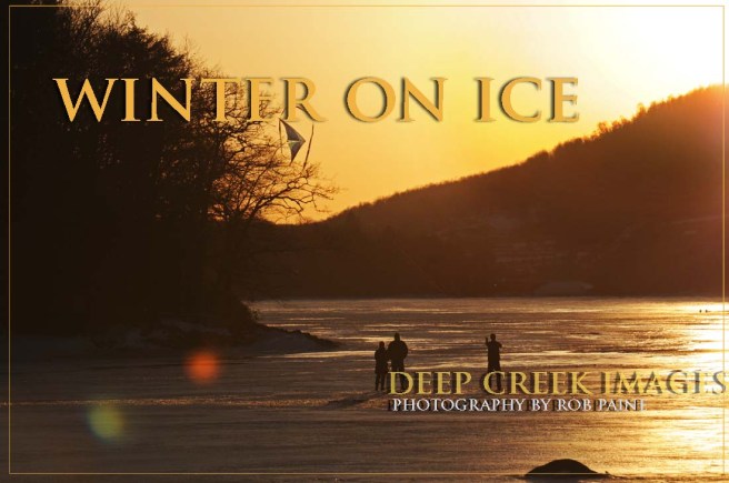  Photo by Rob Paine/Deep Creek Images/Copyright 2016